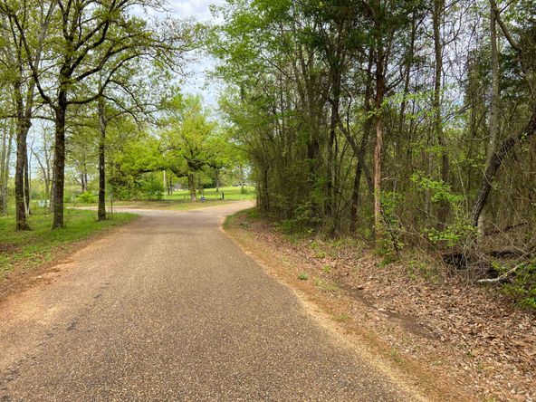 Farris 115 Timber: 00 CR 2215, Daingerfield, TX 75638